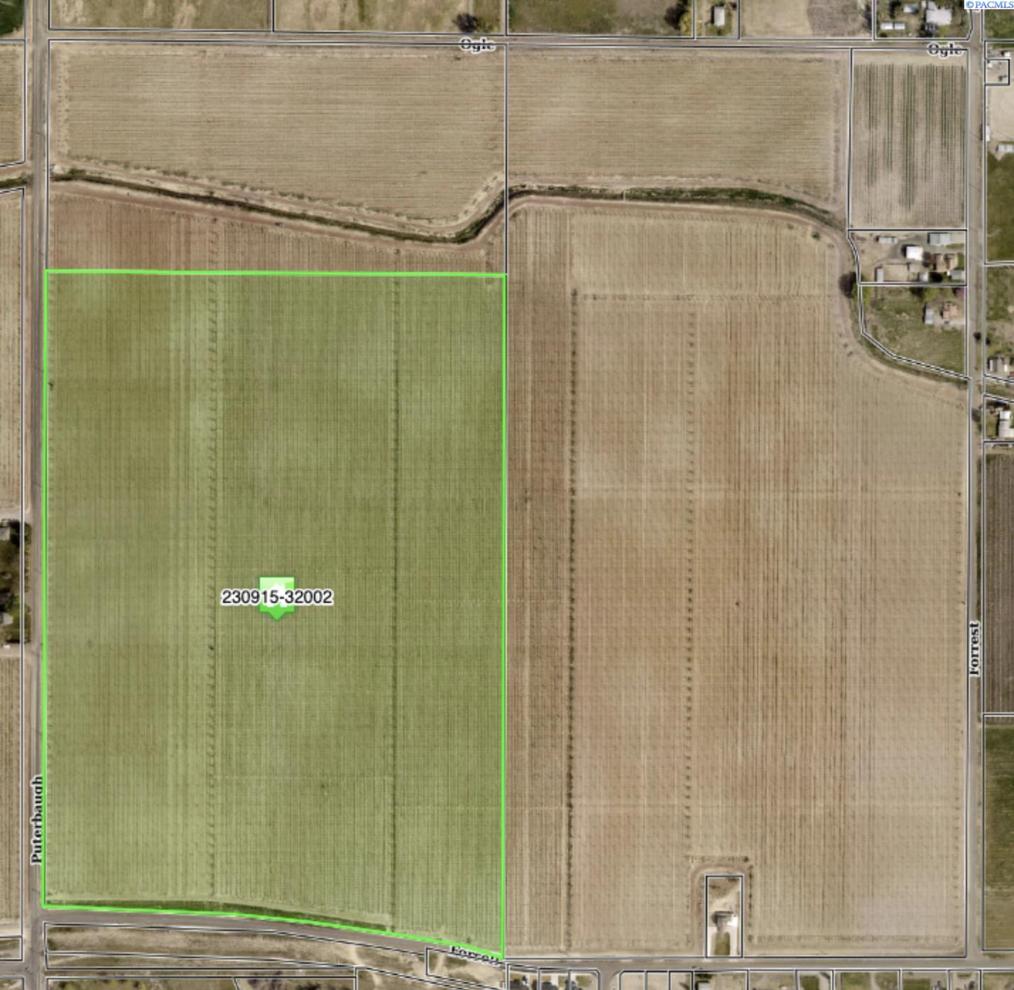 Puterbaugh Rd/Forsell Rd, Grandview, Washington 98930, 0 , 0 ,0,Land/lots,For Sale,Puterbaugh Rd/Forsell Rd,0,280417