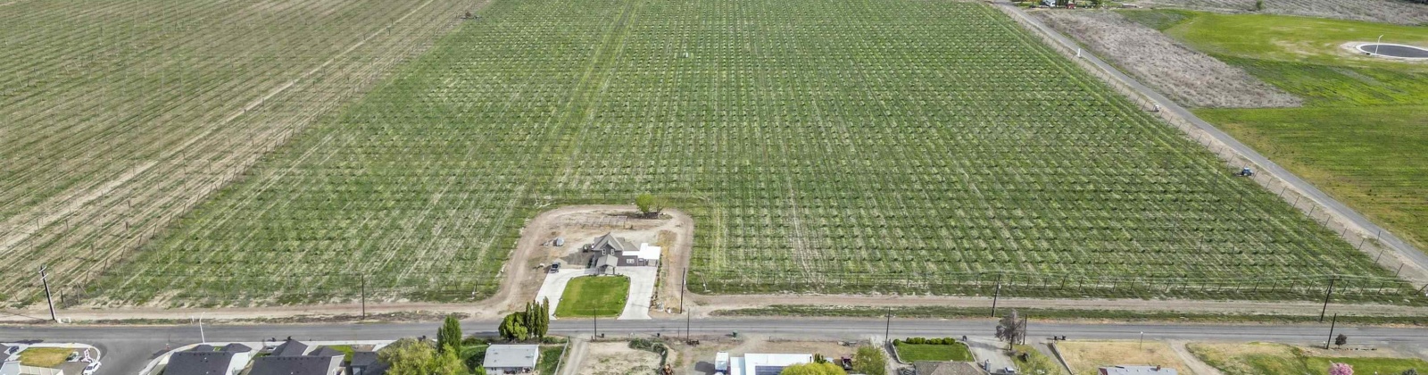 Puterbaugh Rd/Forsell Rd, Grandview, Washington 98930, 0 , 0 ,0,Land/lots,For Sale,Puterbaugh Rd/Forsell Rd,0,280417