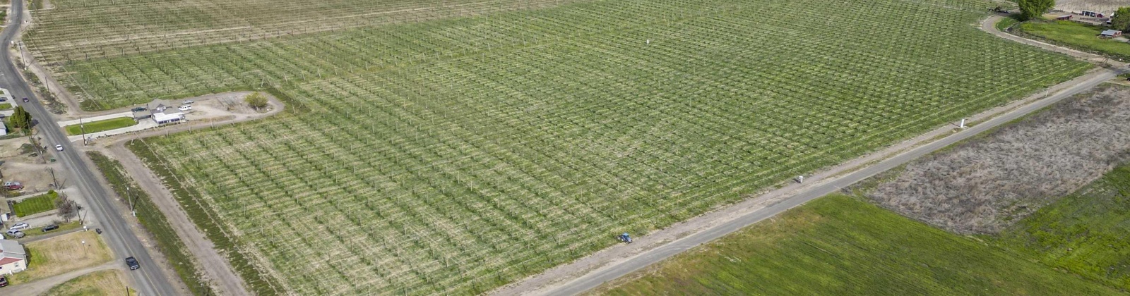 Puterbaugh Rd/Forsell Rd, Grandview, Washington 98930, 0 , 0 ,0,Land/lots,For Sale,Puterbaugh Rd/Forsell Rd,0,280417