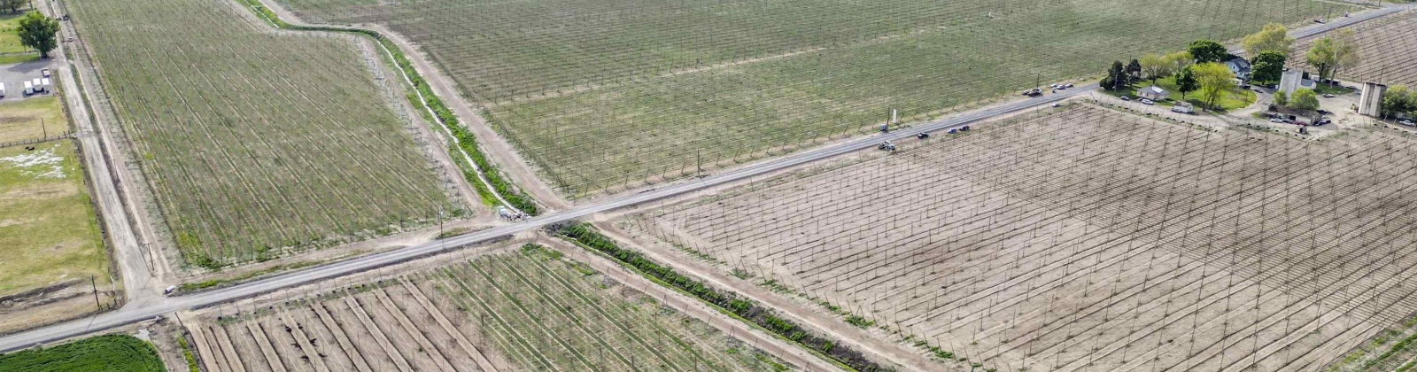 Puterbaugh Rd/Forsell Rd, Grandview, Washington 98930, 0 , 0 ,0,Land/lots,For Sale,Puterbaugh Rd/Forsell Rd,0,280418