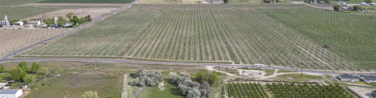 Puterbaugh Rd/Forsell Rd, Grandview, Washington 98930, 0 , 0 ,0,Land/lots,For Sale,Puterbaugh Rd/Forsell Rd,0,280418