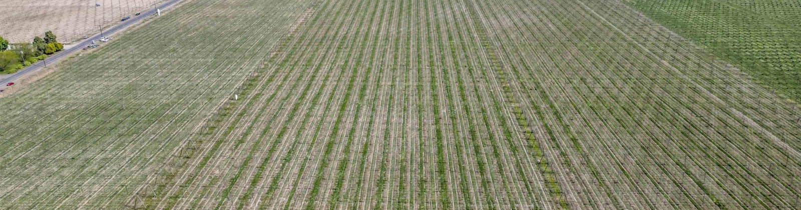 Puterbaugh Rd/Forsell Rd, Grandview, Washington 98930, 0 , 0 ,0,Land/lots,For Sale,Puterbaugh Rd/Forsell Rd,0,280418