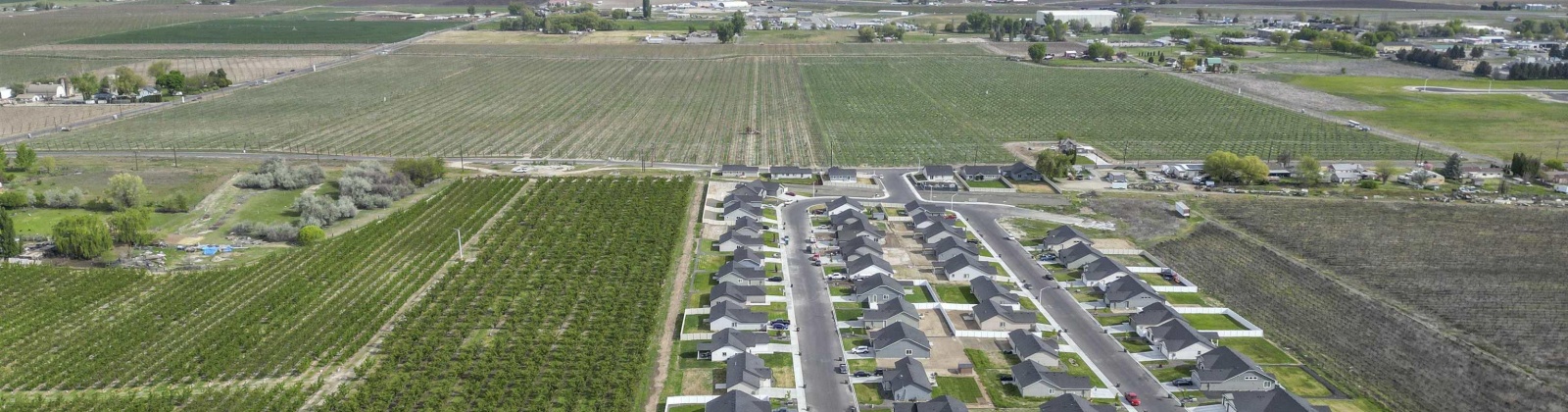 Puterbaugh Rd/Forsell Rd, Grandview, Washington 98930, 0 , 0 ,0,Land/lots,For Sale,Puterbaugh Rd/Forsell Rd,0,280419