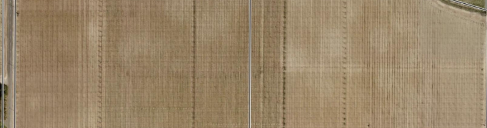 Puterbaugh Rd/Forsell Rd, Grandview, Washington 98930, 0 , 0 ,0,Land/lots,For Sale,Puterbaugh Rd/Forsell Rd,0,280419