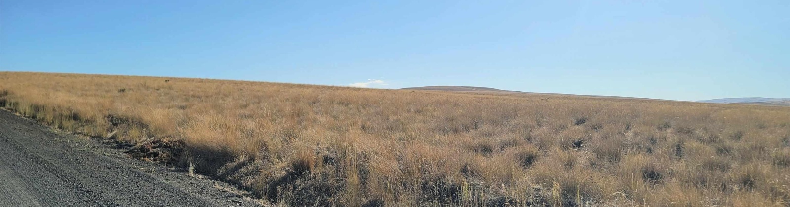 Turpin Rd (Lot 7), Mabton, Washington 98935, 0 , 0 ,0,Agricultural Land,For Sale,Turpin Rd (Lot 7),0,290168