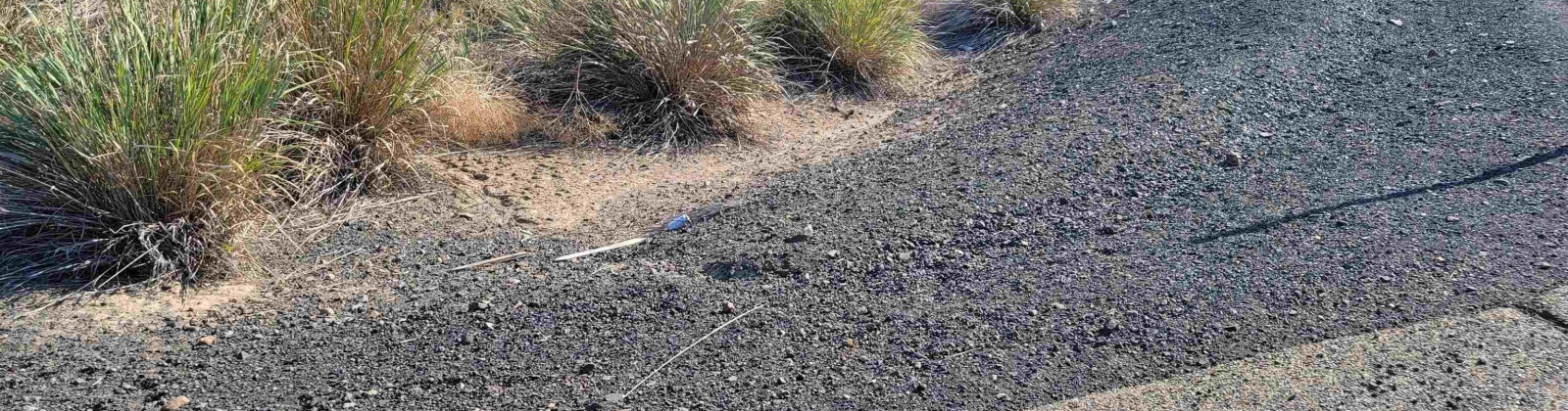 Turpin Rd (Lot 7), Mabton, Washington 98935, 0 , 0 ,0,Agricultural Land,For Sale,Turpin Rd (Lot 7),0,290168