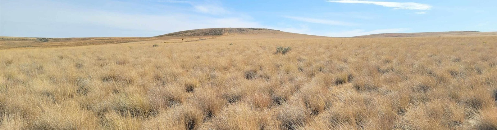 Turpin Rd (Lot 7), Mabton, Washington 98935, 0 , 0 ,0,Agricultural Land,For Sale,Turpin Rd (Lot 7),0,290168