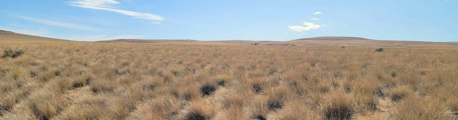 Turpin Rd (Lot 7), Mabton, Washington 98935, 0 , 0 ,0,Agricultural Land,For Sale,Turpin Rd (Lot 7),0,290168