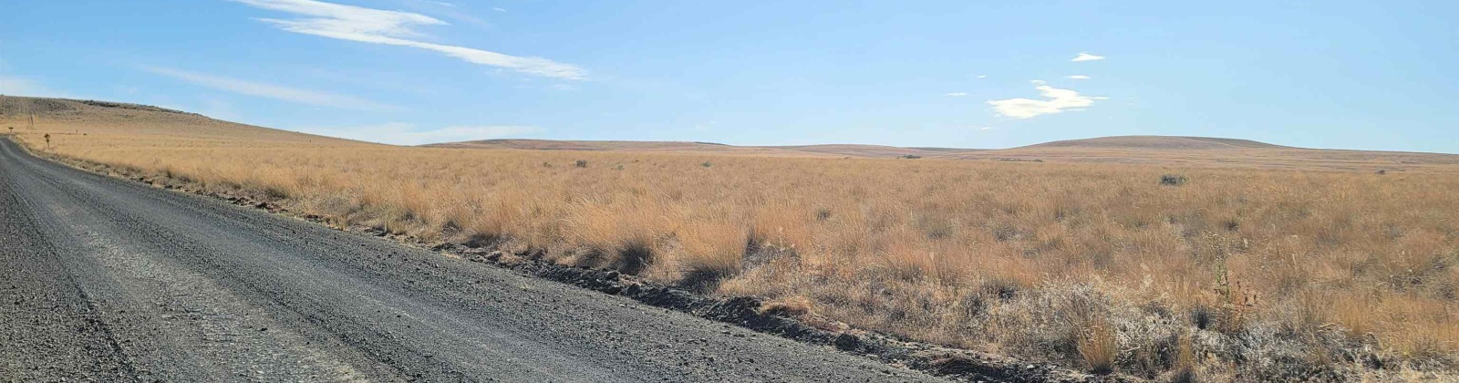 Turpin Rd (Lot 7), Mabton, Washington 98935, 0 , 0 ,0,Agricultural Land,For Sale,Turpin Rd (Lot 7),0,290168