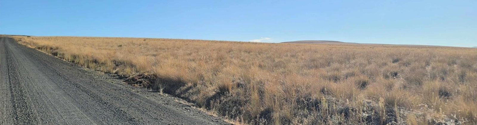 Turpin Rd (Lot 7), Mabton, Washington 98935, 0 , 0 ,0,Agricultural Land,For Sale,Turpin Rd (Lot 7),0,290168