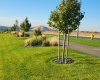 21st Ave (Lot 21 Ph 8), Kennewick, Washington 99338, 0 , 0 ,0,Land/lots,For Sale,21st Ave (Lot 21 Ph 8),0,290182