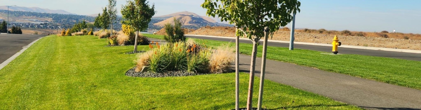 21st Ave (Lot 21 Ph 8), Kennewick, Washington 99338, 0 , 0 ,0,Land/lots,For Sale,21st Ave (Lot 21 Ph 8),0,290182