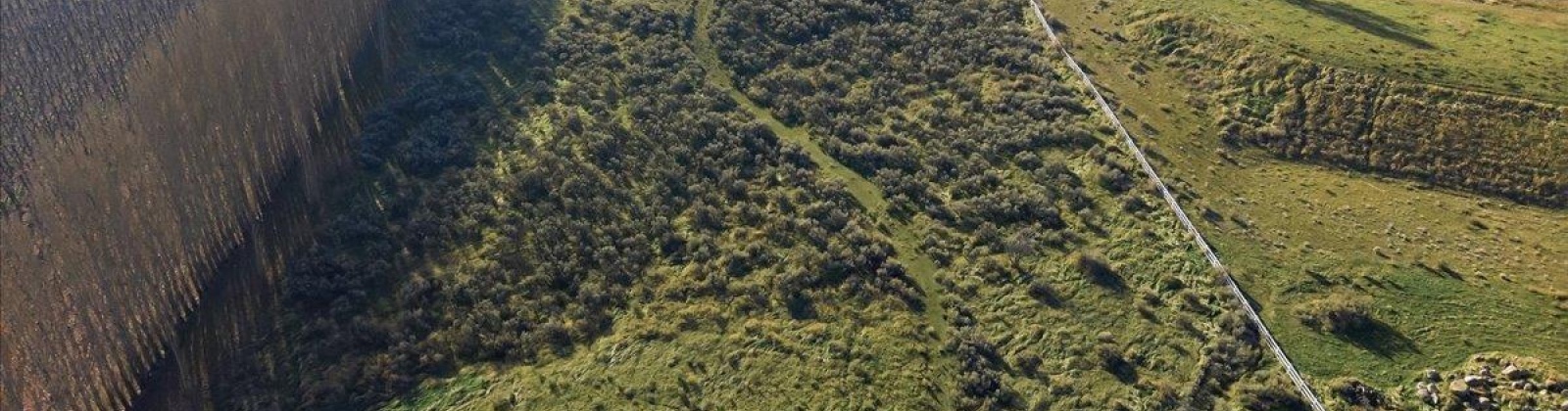 2410 PRSE, Kennewick, Washington 99337, 0 , 0 ,0,Land/lots,For Sale,2410 PRSE,0,290196