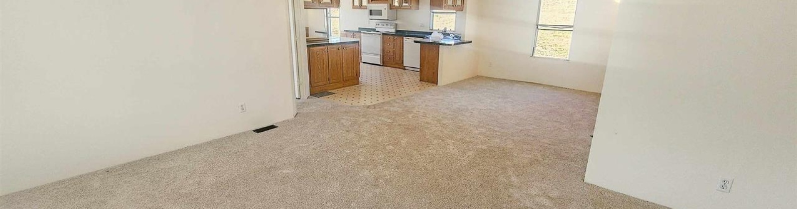 1st St, Endicott, Washington 99125, 3 Bedrooms Bedrooms, 0 ,2 BathroomsBathrooms,Manufactured Homes,For Sale,1st St,0,290210