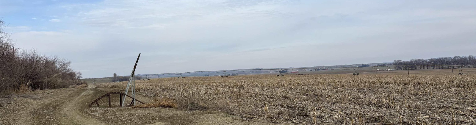 Fern Road, Othello, Washington 99344, 0 , 0 ,0,Agricultural Land,For Sale,Fern Road,0,290240