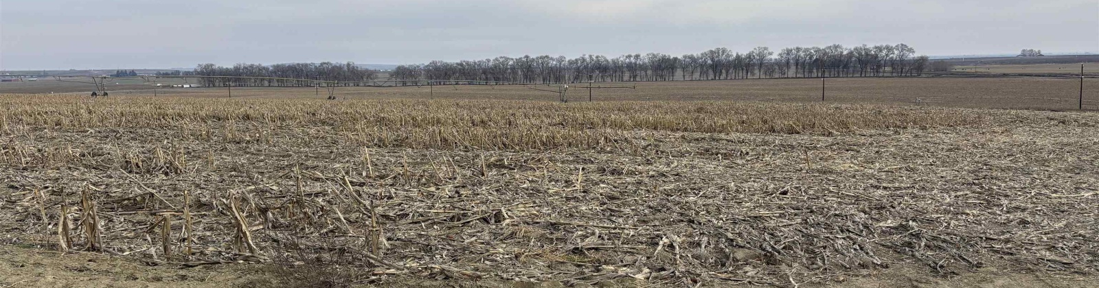 Fern Road, Othello, Washington 99344, 0 , 0 ,0,Agricultural Land,For Sale,Fern Road,0,290240