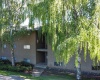 Timothy, Pullman, Washington 99163, 24 Bedrooms Bedrooms, 0 ,6 BathroomsBathrooms,Commercial,For Sale,Timothy,0,290233