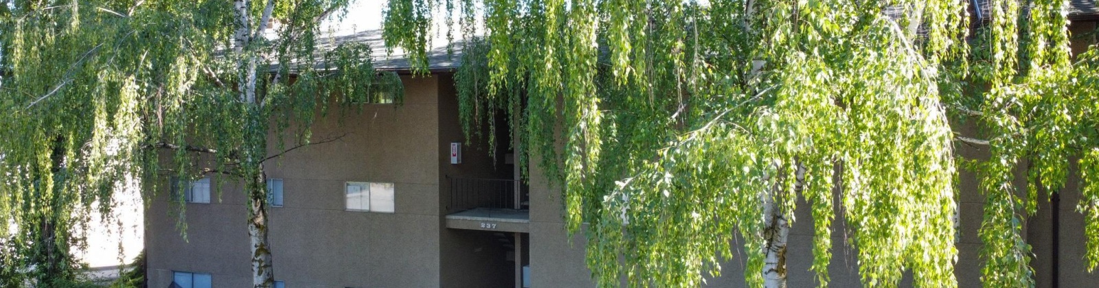 Timothy, Pullman, Washington 99163, 24 Bedrooms Bedrooms, 0 ,6 BathroomsBathrooms,Commercial,For Sale,Timothy,0,290233