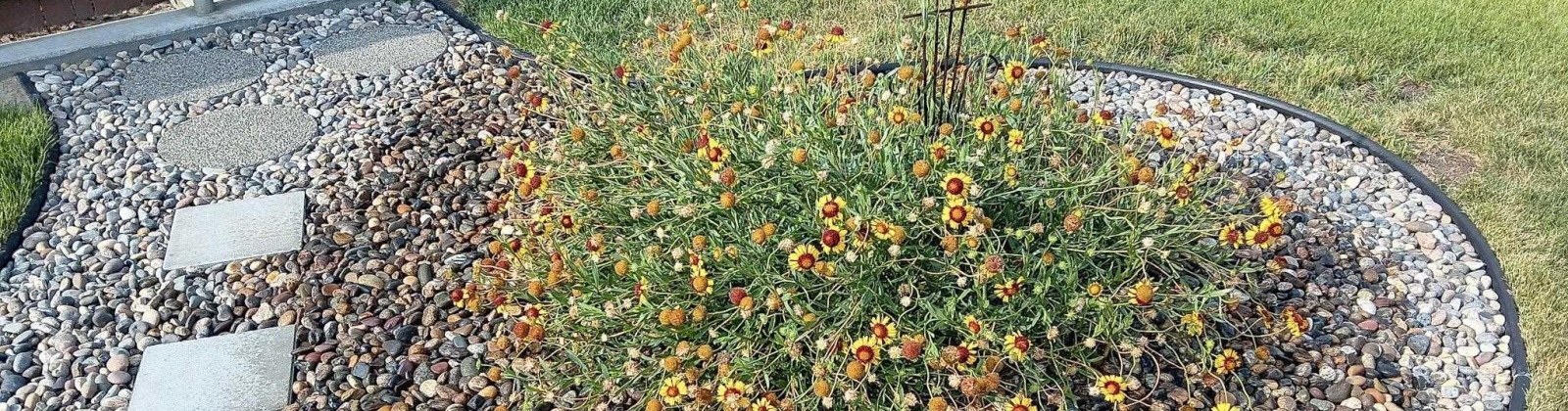 Norma Street, West Richland, Washington 99353, 3 Bedrooms Bedrooms, 0 ,2 BathroomsBathrooms,Houses,For Sale,Norma Street,0,290238