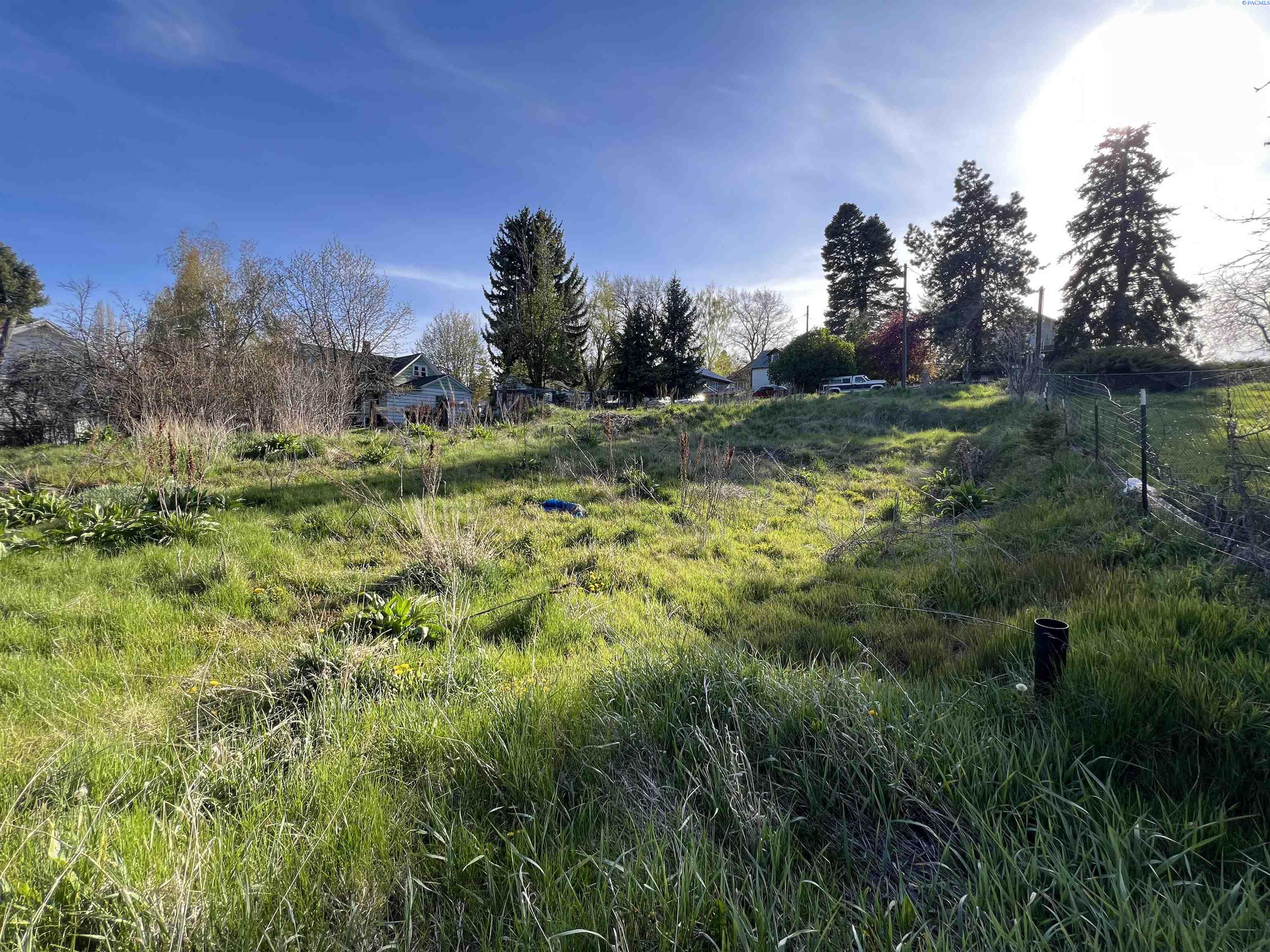 High St, Uniontown, Washington 99179, 0 , 0 ,0,Land/lots,For Sale,High St,0,290275