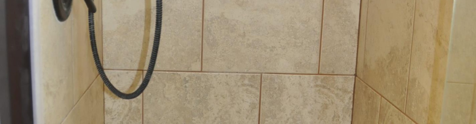 North Street, Pullman, Washington 99163, 7 Bedrooms Bedrooms, 0 ,5 BathroomsBathrooms,Multi-family,For Sale,North Street,0,290269