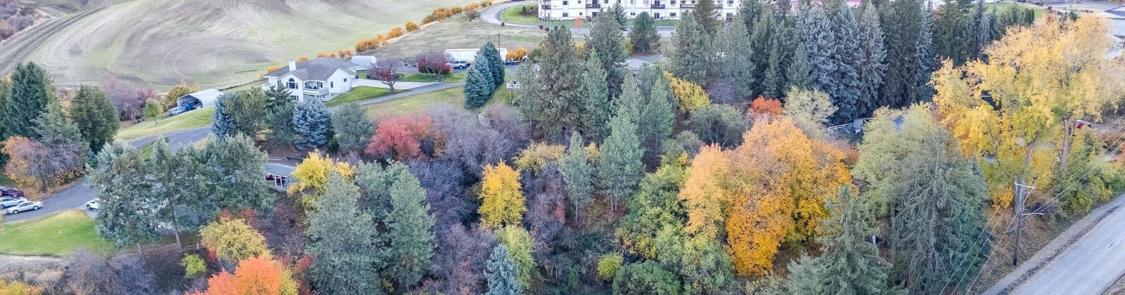 Fairview St, Colfax, Washington 99111-9514, 2 Bedrooms Bedrooms, 0 ,2 BathroomsBathrooms,Houses,For Sale,Fairview St,0,290299