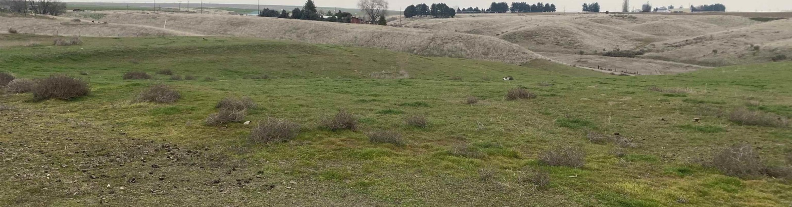 Villifan Rd, Pasco, Washington 99301, 0 , 0 ,0,Land/lots,For Sale,Villifan Rd,0,290034