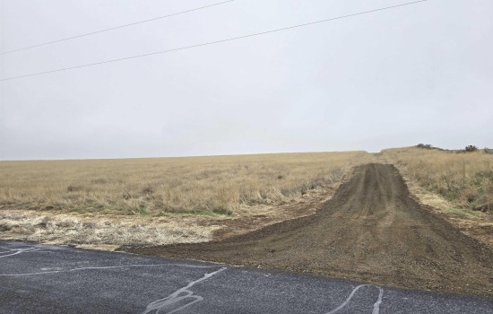 Agricultural Land For Sale