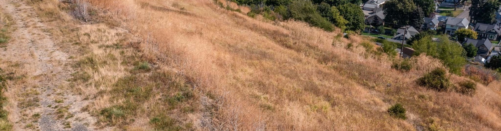 Cherry St, Colfax, Washington 99111, 0 , 0 ,0,Special Use,For Sale,Cherry St,0,290369