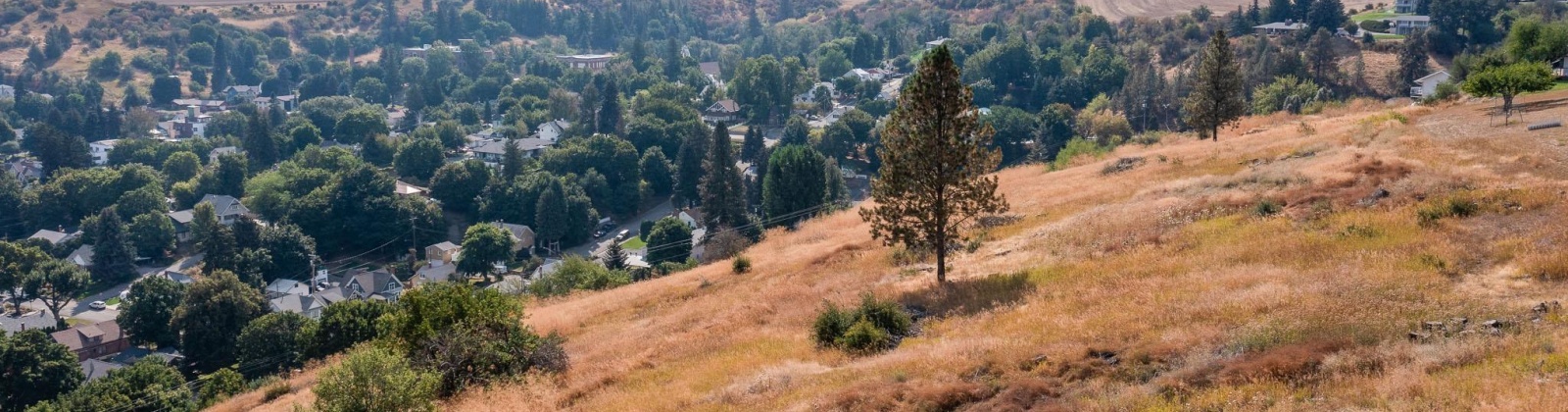 Cherry St, Colfax, Washington 99111, 0 , 0 ,0,Special Use,For Sale,Cherry St,0,290369