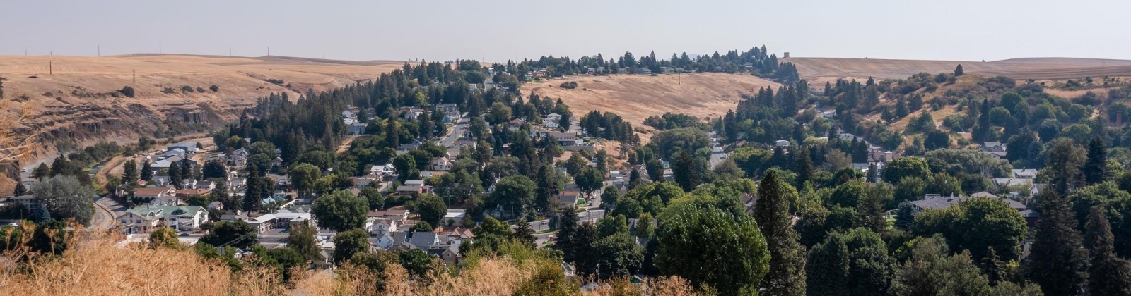 Cherry St, Colfax, Washington 99111, 0 , 0 ,0,Special Use,For Sale,Cherry St,0,290369