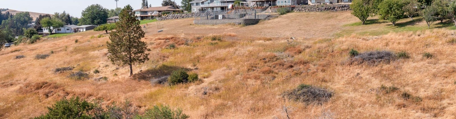 Cherry St, Colfax, Washington 99111, 0 , 0 ,0,Special Use,For Sale,Cherry St,0,290369