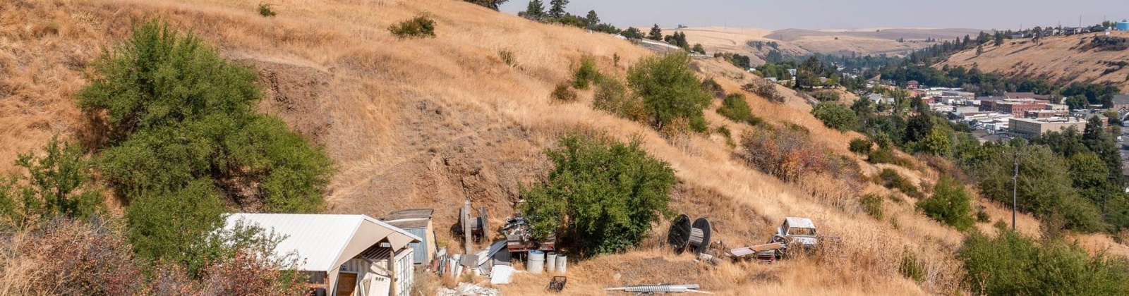 Cherry St, Colfax, Washington 99111, 0 , 0 ,0,Special Use,For Sale,Cherry St,0,290369