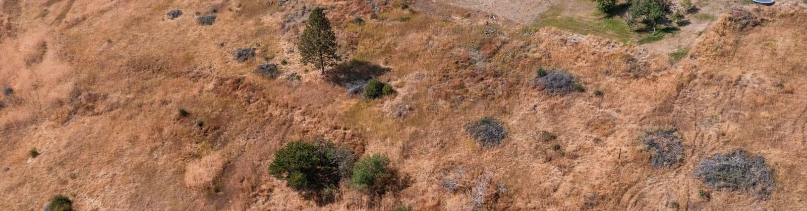 Cherry St, Colfax, Washington 99111, 0 , 0 ,0,Special Use,For Sale,Cherry St,0,290369