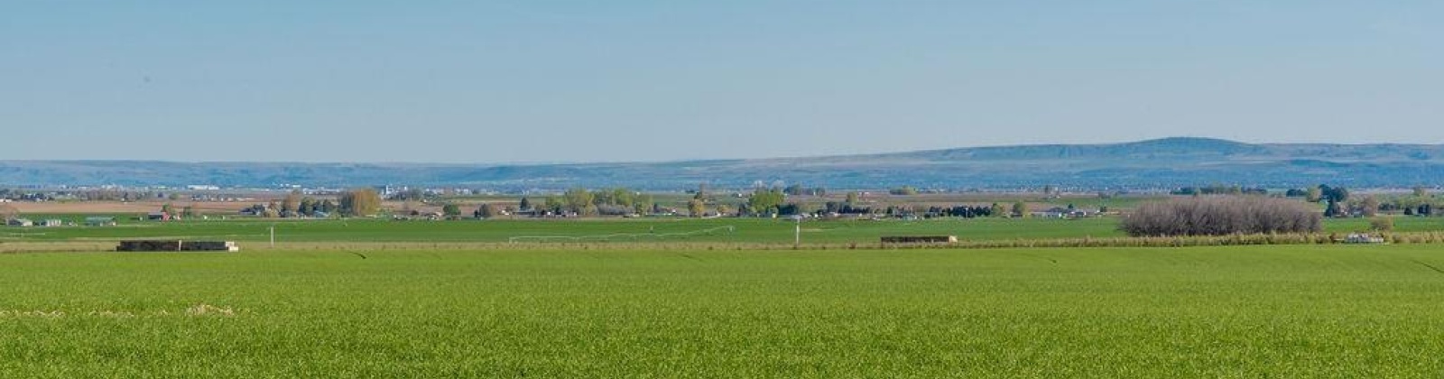 Dogwood Rd, Pasco, Washington 99301, 3 Bedrooms Bedrooms, 0 ,3 BathroomsBathrooms,Manufactured Homes,For Sale,Dogwood Rd,0,290374