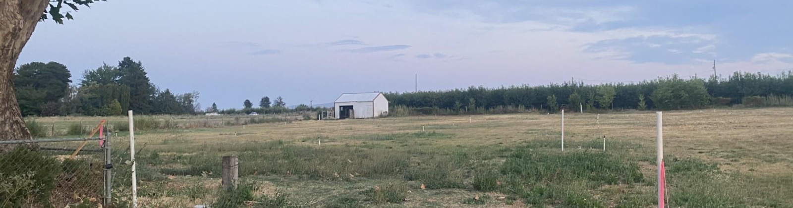 King St Lot B, Grandview, Washington 98930, 0 , 0 ,0,Land/lots,For Sale,King St Lot B,0,286768