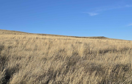 Agricultural Land For Sale