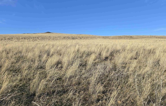 Agricultural Land For Sale