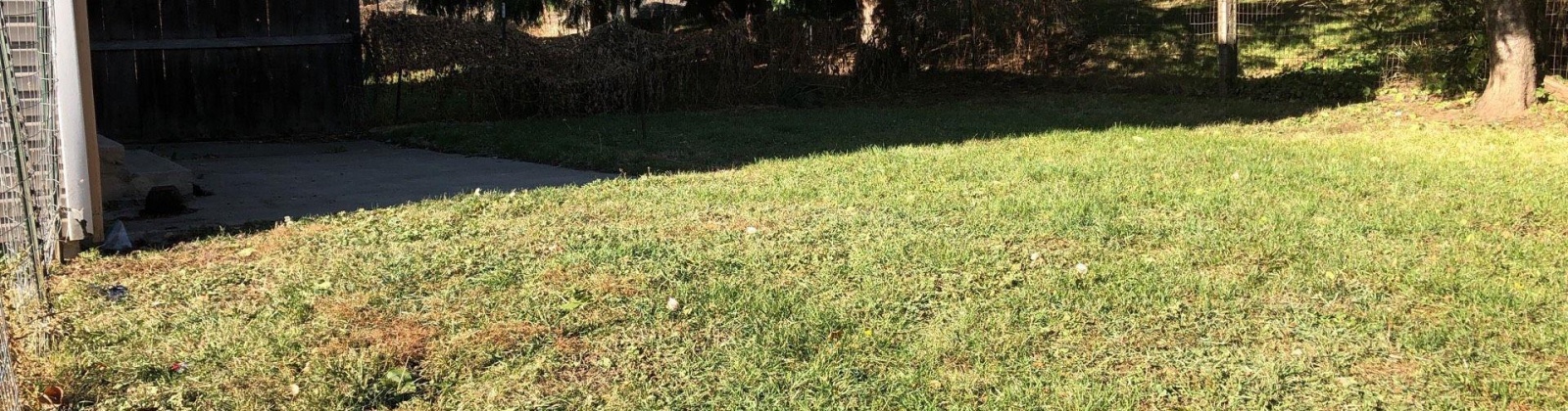 Turner Drive, Pullman, Washington 99163, 6 Bedrooms Bedrooms, 0 ,4 BathroomsBathrooms,Multi-family,For Sale,Turner Drive,0,290508