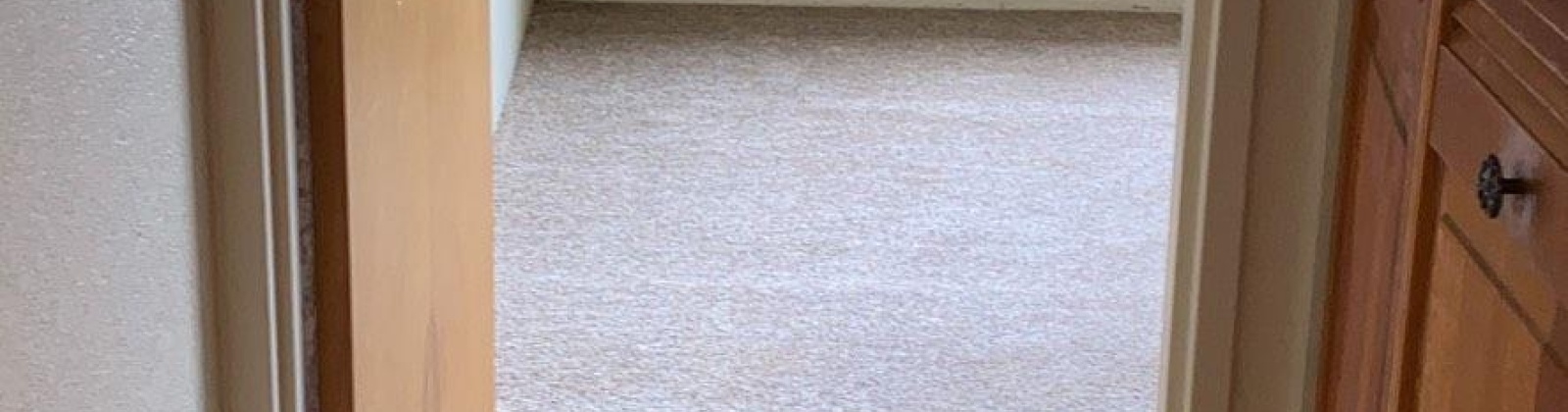 State St. #14, Pullman, Washington 99163, 1 Bedroom Bedrooms, 0 ,1 BathroomBathrooms,Condos/townhomes,For Sale,State St. #14,0,290502