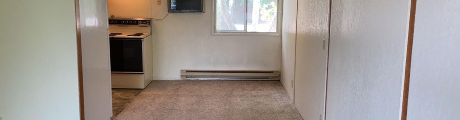 State St. #14, Pullman, Washington 99163, 1 Bedroom Bedrooms, 0 ,1 BathroomBathrooms,Condos/townhomes,For Sale,State St. #14,0,290502