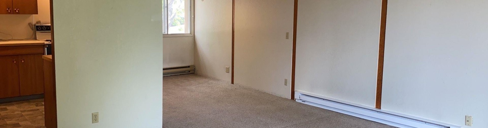 State St. #14, Pullman, Washington 99163, 1 Bedroom Bedrooms, 0 ,1 BathroomBathrooms,Condos/townhomes,For Sale,State St. #14,0,290502