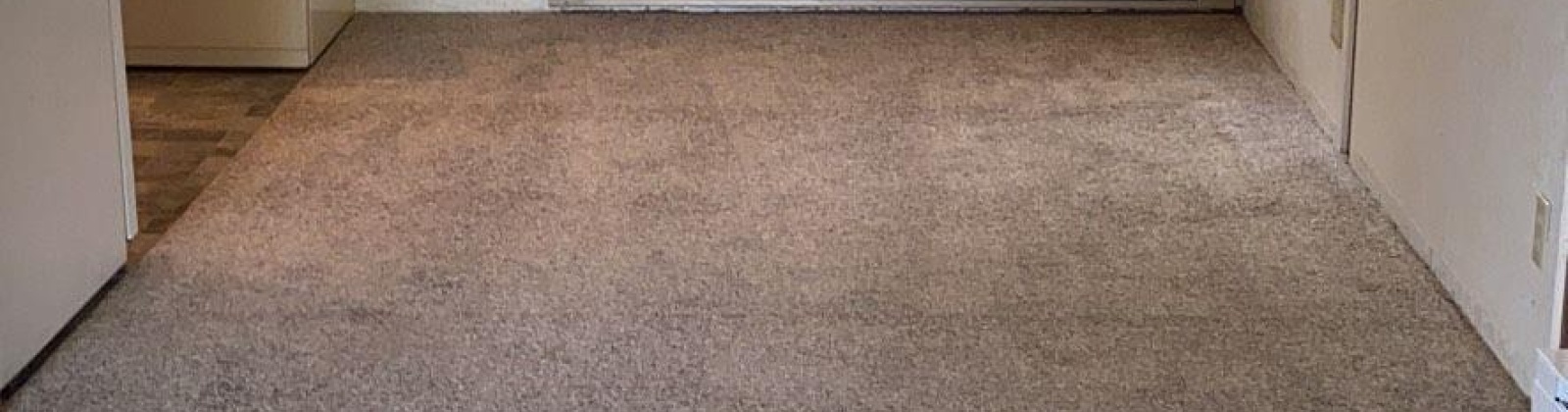 State St. #14, Pullman, Washington 99163, 1 Bedroom Bedrooms, 0 ,1 BathroomBathrooms,Condos/townhomes,For Sale,State St. #14,0,290502