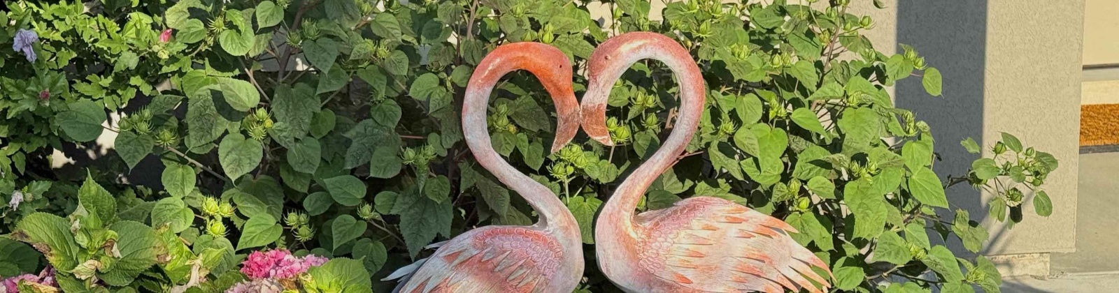 McKinley, Kennewick, Washington 99338, 4 Bedrooms Bedrooms, 0 ,2 BathroomsBathrooms,Houses,For Sale,McKinley,0,290586