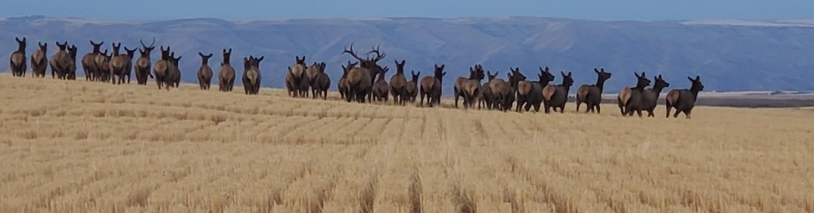 Cloverland Rd, Asotin, Washington 99402, 3 Bedrooms Bedrooms, 0 ,2 BathroomsBathrooms,Manufactured Homes,For Sale,Cloverland Rd,0,290583