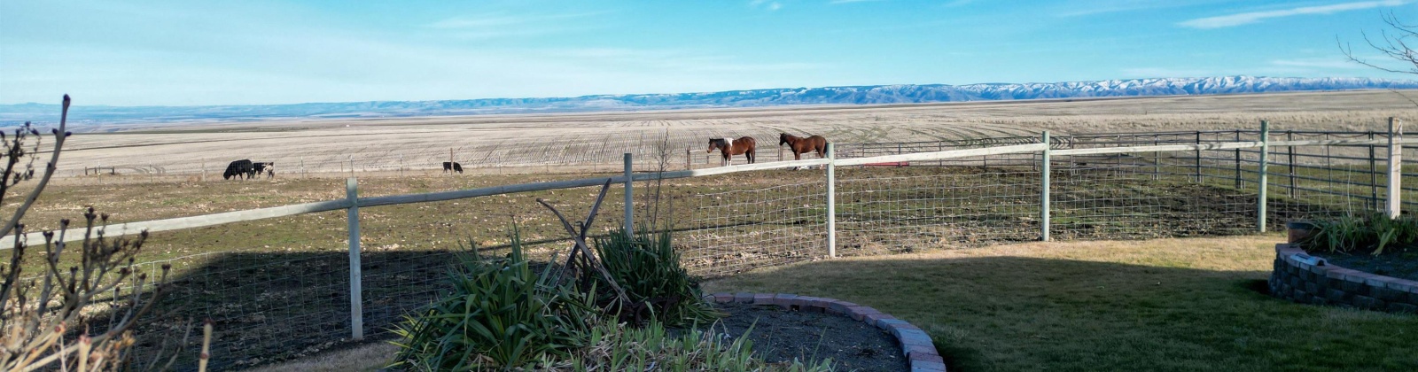 Cloverland Rd, Asotin, Washington 99402, 3 Bedrooms Bedrooms, 0 ,2 BathroomsBathrooms,Manufactured Homes,For Sale,Cloverland Rd,0,290583