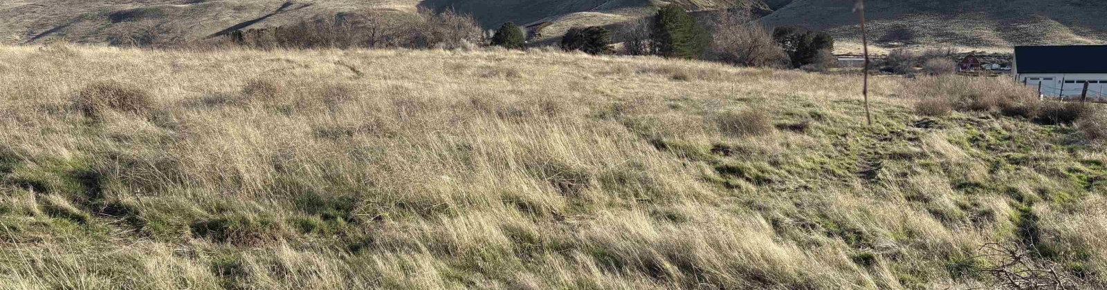 PRSE, Kennewick, Washington 99338, 0 , 0 ,0,Land/lots,For Sale,PRSE,0,290644