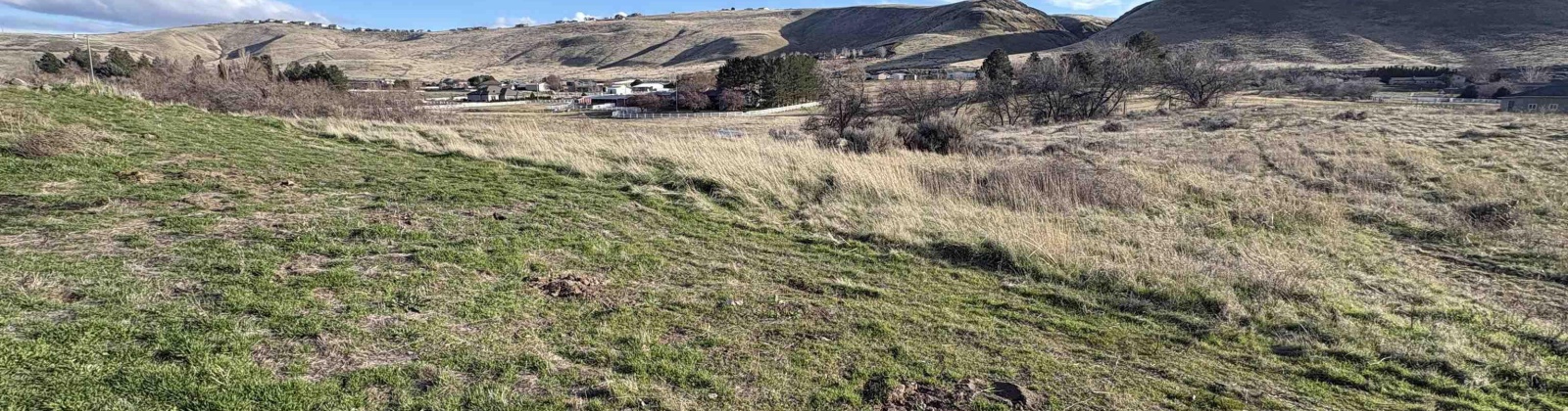 PRSE, Kennewick, Washington 99338, 0 , 0 ,0,Land/lots,For Sale,PRSE,0,290644