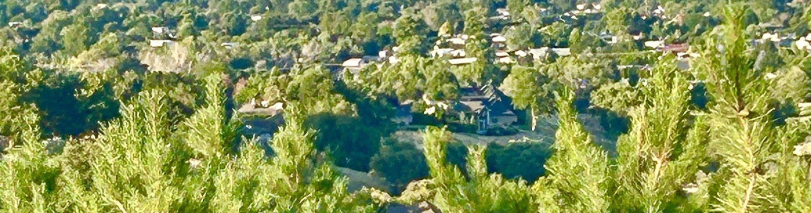 43rd Avenue, Kennewick, Washington 99337, 3 Bedrooms Bedrooms, 0 ,4 BathroomsBathrooms,Houses,For Sale,43rd Avenue,0,290635