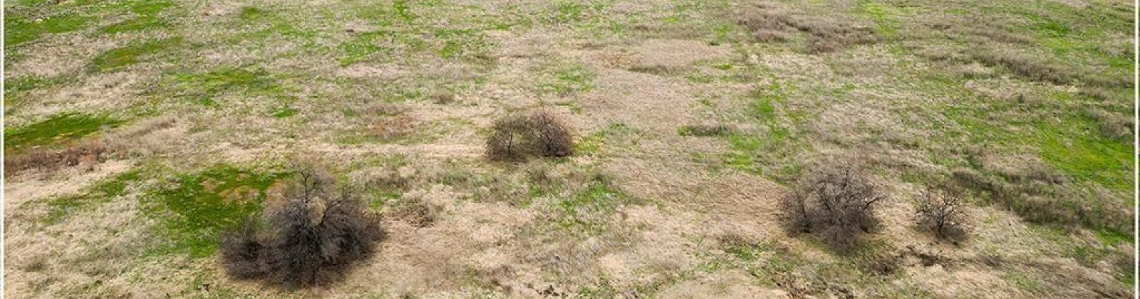 McDonald Rd, Prosser, Washington 99350, 0 , 0 ,0,Agricultural Land,For Sale,McDonald Rd,0,290649